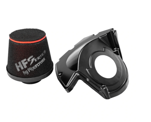 HGHFISV09-1